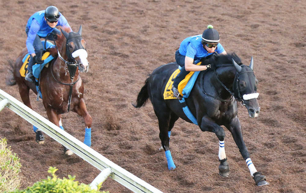 【画像・写真】【関屋記念】グローリー　反応良く2番時計、4F51秒4