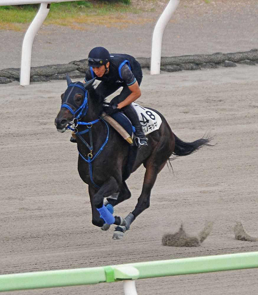 【画像・写真】【盛岡・クラスターC】キッキング予定通り、楽々ラスト12秒1