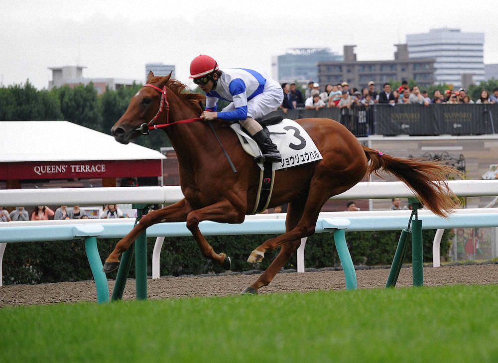 【画像・写真】【札幌新馬戦】ショウリュウハル逃げ切り!松岡「スタートが速かった」