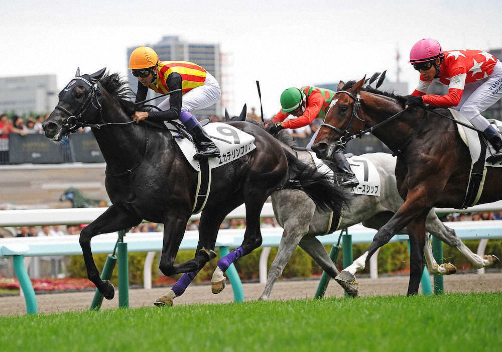 【画像・写真】【新馬戦総括】エカテリンブルク　派手さはなくても強い