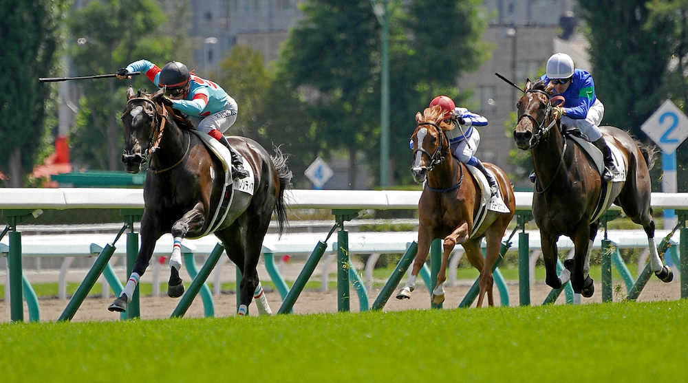 【画像・写真】【新馬戦総括】ポレンティア、センス抜群で優等生タイプ