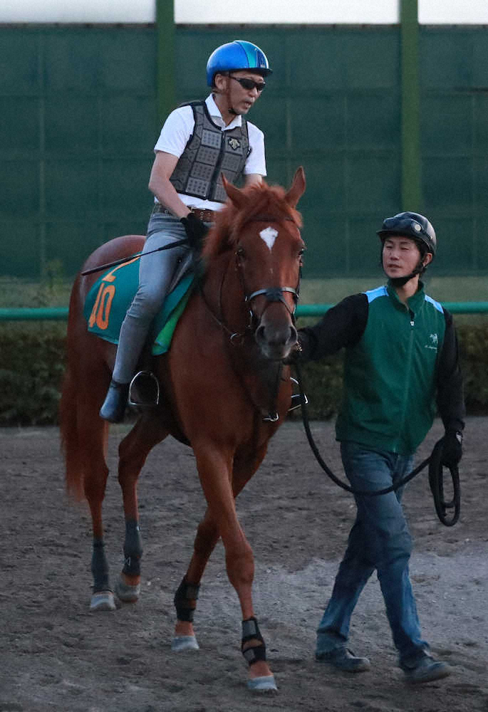 【画像・写真】【新潟2歳S】モーベット　母子重賞V期待　母は重賞4勝のアイムユアーズ