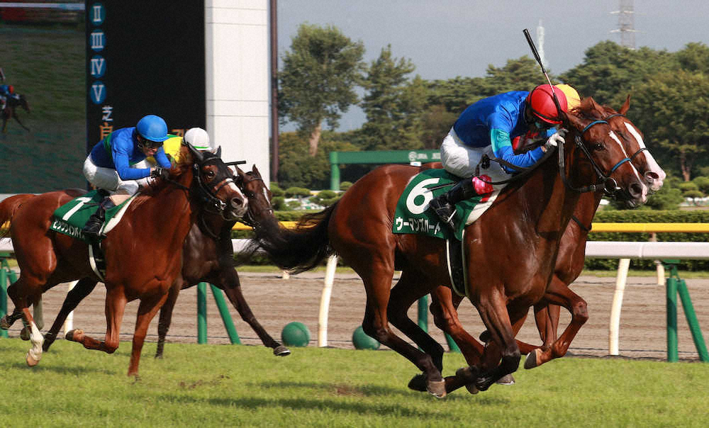 【画像・写真】【新潟2歳S】1番人気ウーマンズハートが重賞初制覇