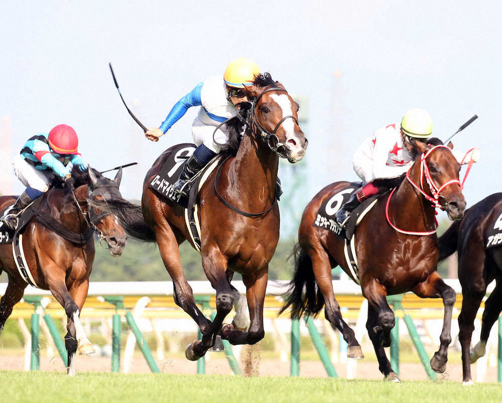 【画像・写真】【長岡S】マイウェイ3連勝でOP入り　吉田隼も称賛