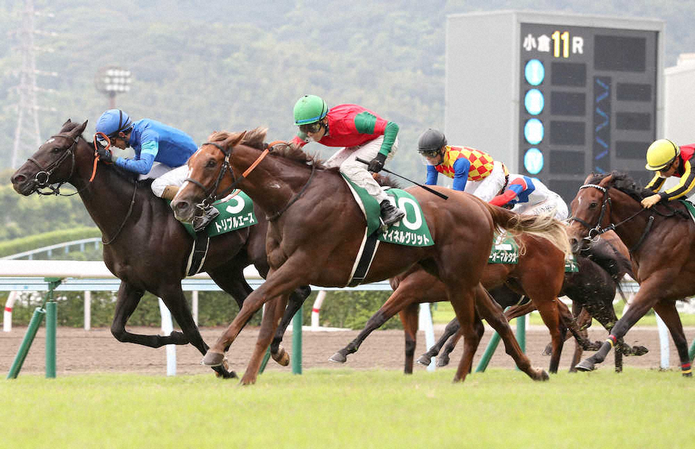 【画像・写真】【小倉2歳S】マイネルグリットが3連勝で重賞制覇