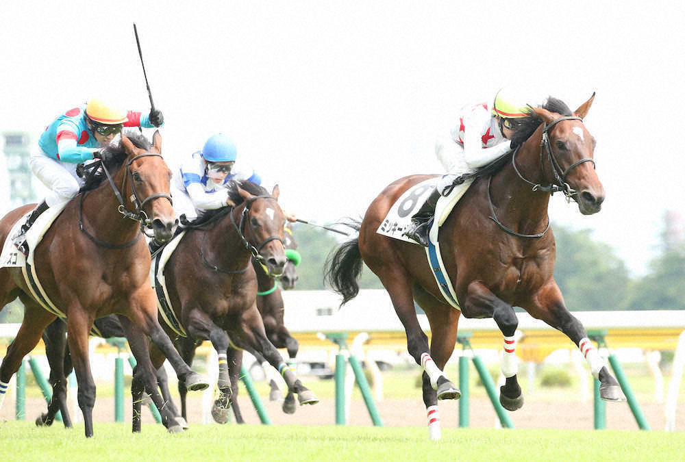 【画像・写真】【新潟新馬戦】メテオ伸びて白星　石橋「余裕あった」