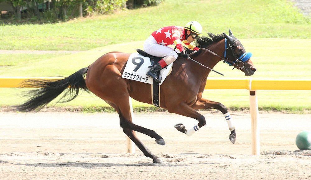 【画像・写真】【新潟新馬戦】ヴィータ　逃げ切りV、吉田豊が高評価