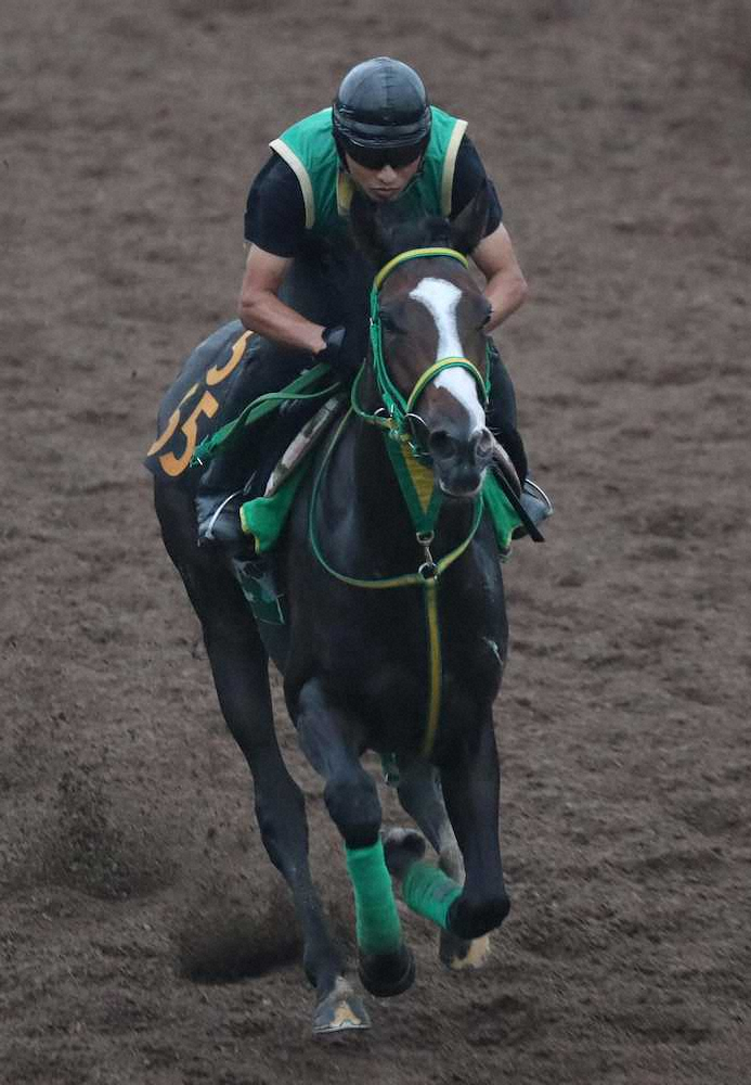 【画像・写真】【ローズS】ディーヴァ馬体ふっくら　坂路で軽め4F54秒0