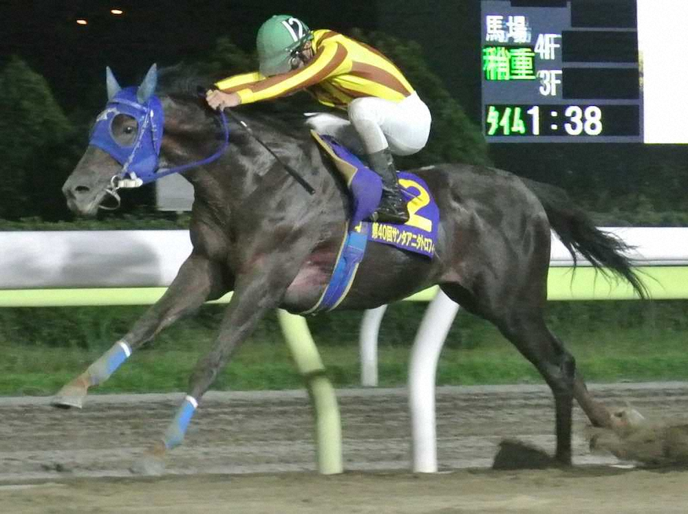 【画像・写真】船橋「日本テレビ盃」注目馬直前チェック　ノンコノユメ自慢の末脚魅せる！