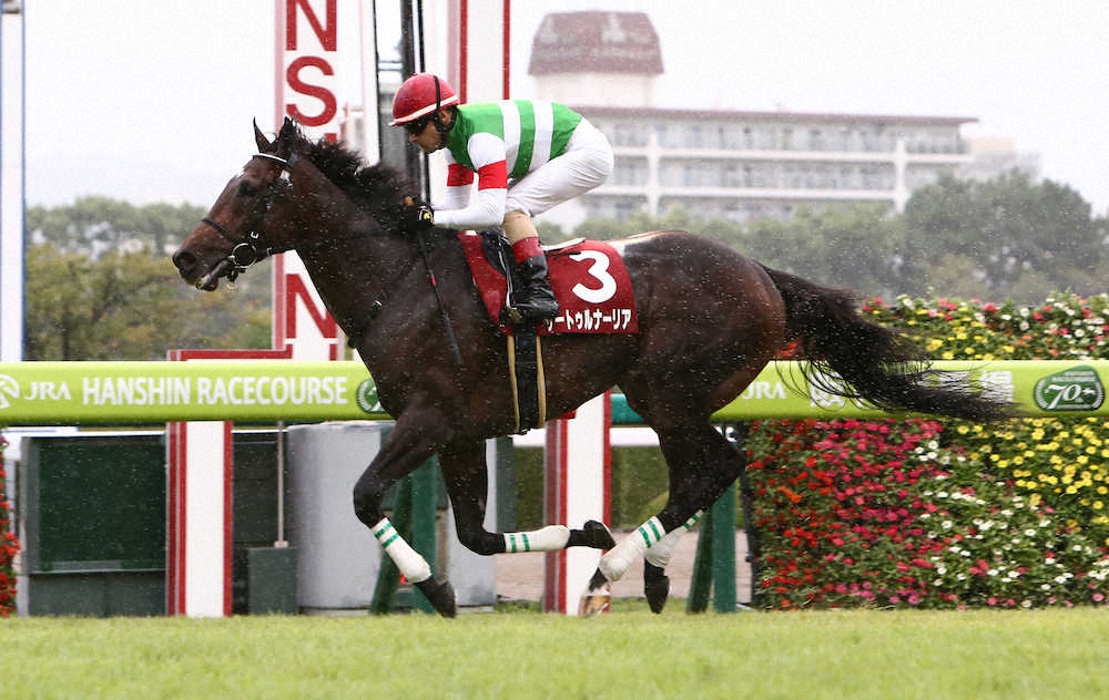 【画像・写真】【神戸新聞杯】3馬身差Vサートゥルナーリア天皇賞かJCへ　キャロット秋田社長「菊花賞はありません」