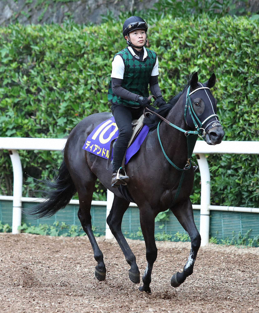 【画像・写真】【スプリンターズS】ラグビーW杯日本代表活躍年は牝馬V!?“法則発動”でディアンドル有力