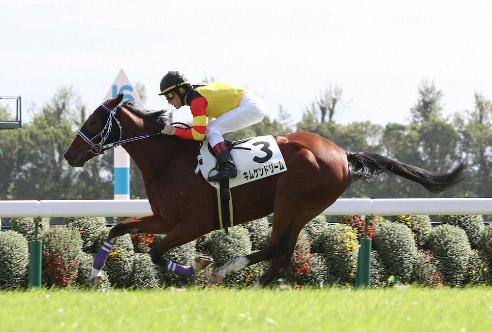 【画像・写真】【京都新馬戦】キムケンドリーム快勝!西村師「まだまだ上を目指せる」