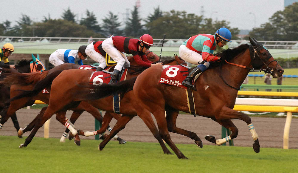 【画像・写真】【府中牝馬S】2着フロンテア　重賞6度目の銀「凄い切れ味の馬がいた」