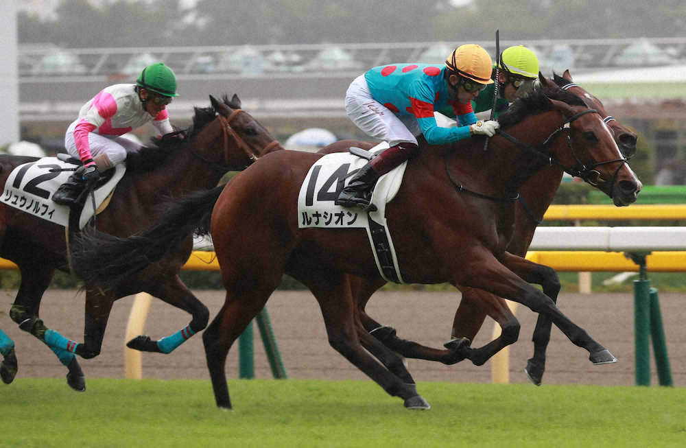 【画像・写真】【東京新馬戦】ルナシオン　差し切りV!福永「高いポテンシャルを感じた」