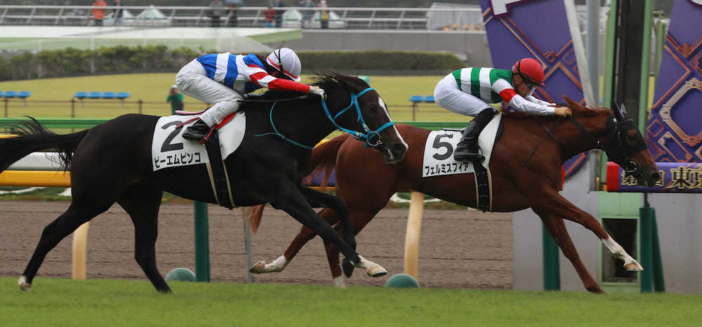 【画像・写真】【東京新馬戦】フェルミスフィアV!川田「着差はわずかだが、いい内容だった」