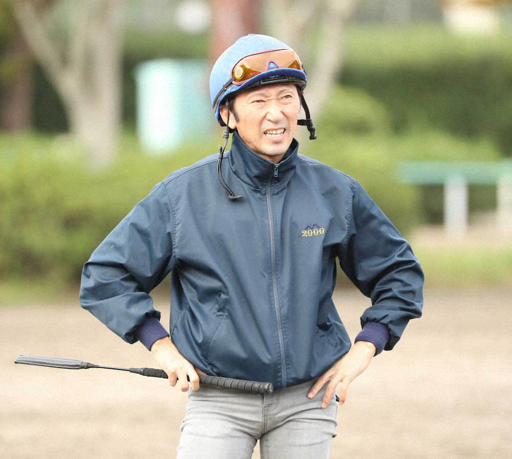 【画像・写真】【菊花賞】サーベル加速！蛯名自信「ちょうどいい」