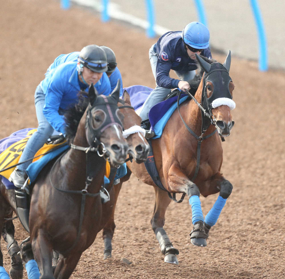 【画像・写真】【天皇賞・秋1週前追い】アーモンド、ラスト1F12秒2　メンタル面成長