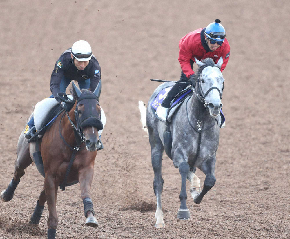 【画像・写真】【天皇賞・秋1週前追い】ウインブライト　強めにびっしり