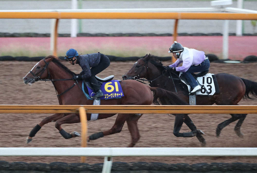 【画像・写真】【天皇賞・秋1週前追い】スワーヴリチャード　シャープに伸び