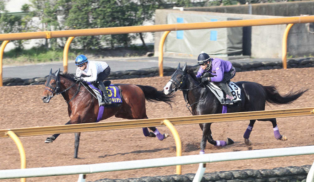 【画像・写真】【天皇賞・秋1週前追い】友道厩舎2頭、指揮官も納得