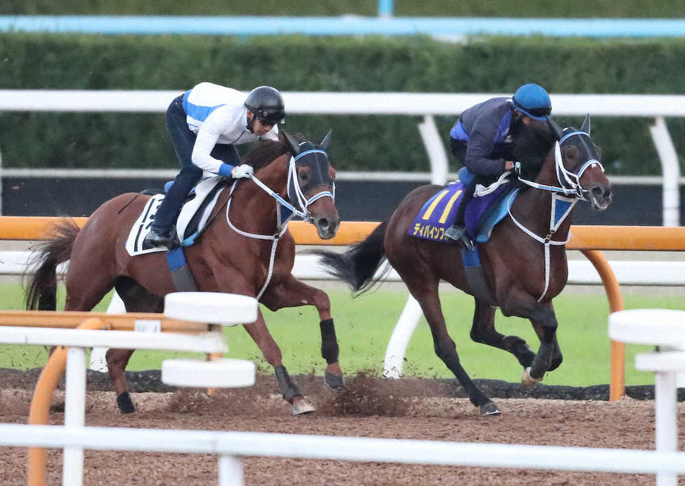 【画像・写真】【菊花賞】（6）ディバインフォース　スタート決める