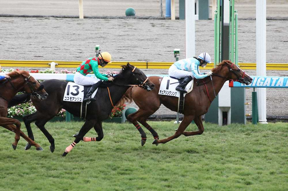 【画像・写真】【新潟5R】菜七子　自己新6週連続V!今年37勝で関東リーディングトップ10入り