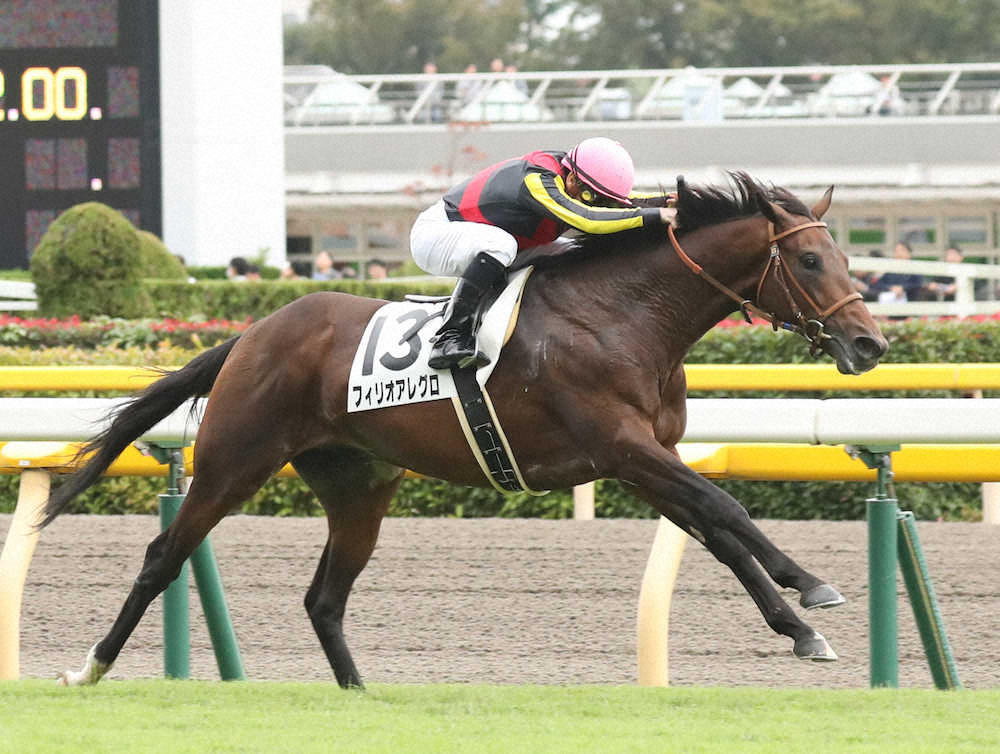 【画像・写真】【東京新馬戦】フィリオアレグロV!ミルコも評価「強かった」