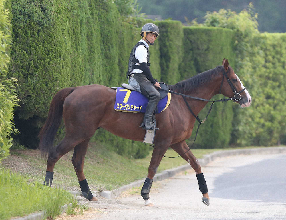 【画像・写真】【天皇賞・秋】（4）スワーヴリチャード、変わらず順調