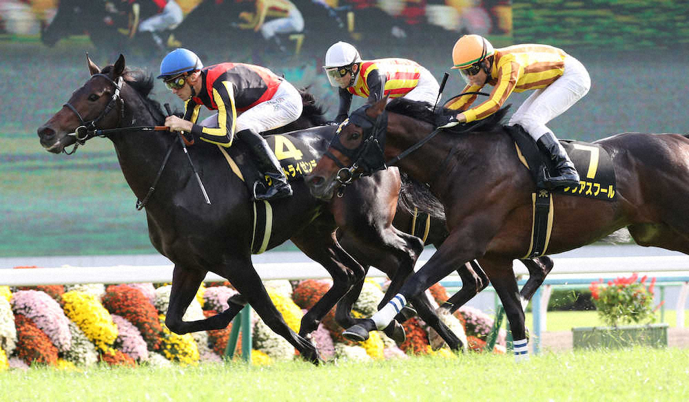 【画像・写真】【萩S】ヴェルトライゼンデ2連勝！池江師「センスある」