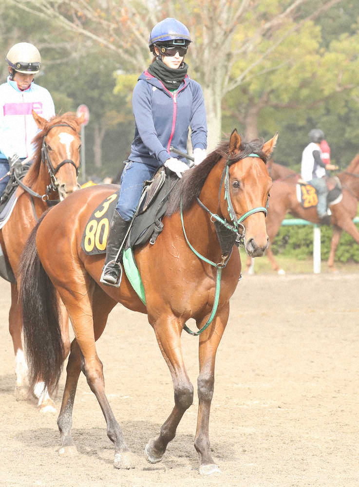 【画像・写真】【京王杯2歳S】菜七子　一戦一戦の成長に手応え