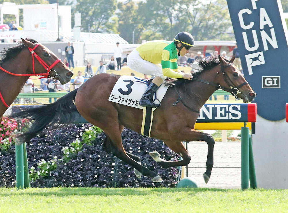 【画像・写真】【東京新馬戦】クーファイザナミ快勝　412キロのディープ産駒、武幸師「気持ちの強い馬」