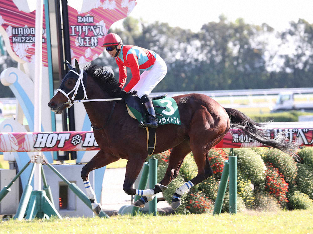 【画像・写真】【京都ジャンプS】ディライトフル重賞初V!大久保師「今後は大きいところに行く」