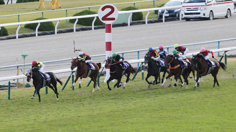 ＜京都11R・エリザベス女王杯＞逃げるクロコスミア（左）を内から猛追するラッキーライラック（左から2頭目）（撮影・長嶋　久樹）