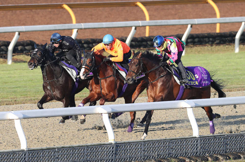 【画像・写真】【ジャパンC1週前追い】友道厩舎3頭併せ馬で火花