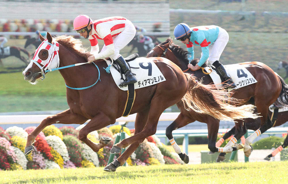 【画像・写真】【京都新馬戦】ディアマンミノル　差し切りV!横山典「稽古通り走れた」