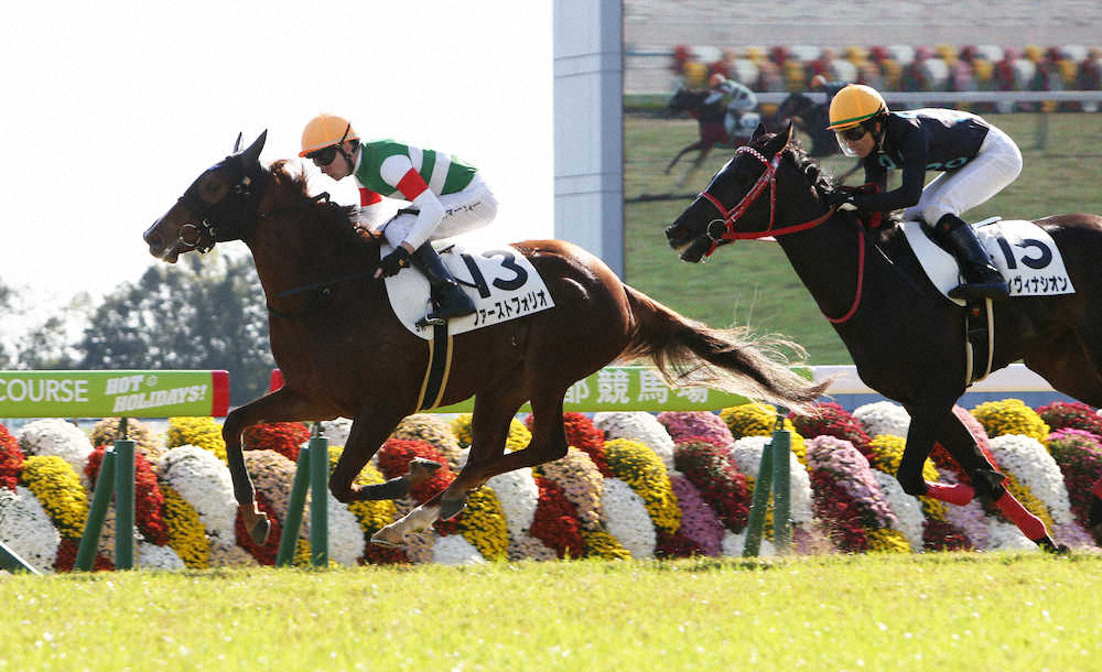 ＜京都5R新馬戦＞ゴール前でディヴィナシオンを振り切り勝利するファーストフォリオ（左）（撮影・亀井　直樹）