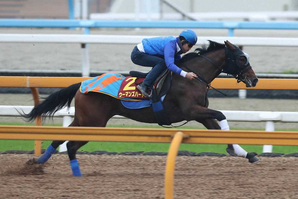 【画像・写真】【阪神JF1週前追い】ウーマンズ　上々12秒1「G1でも楽しみ」
