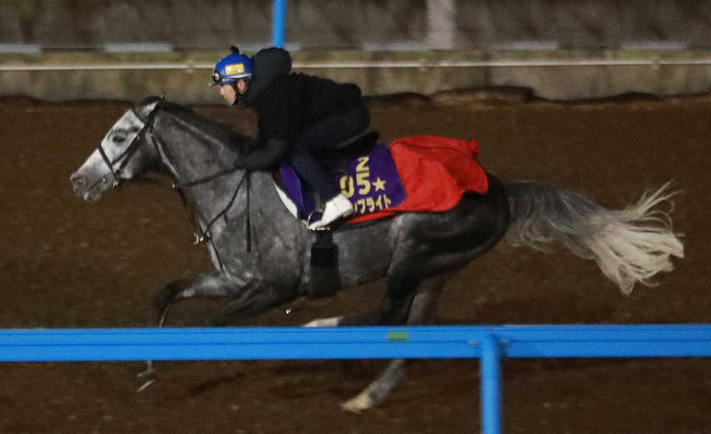 【画像・写真】【香港C】ウインブライト　順調12秒2「前走とは出来違う」
