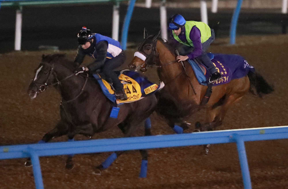 【画像・写真】【香港C】アーモンド　偉業へ100％仕上げ!ルメール手応え「ノープロブレム」