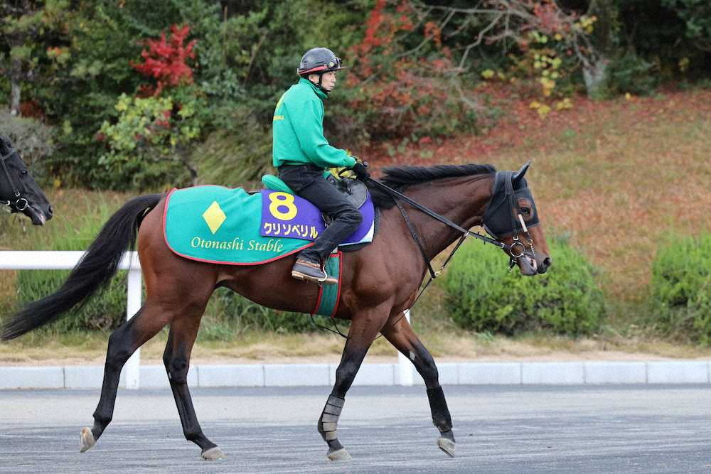 【画像・写真】【チャンピオンズC】（5）クリソベリル　古馬撃破に自信