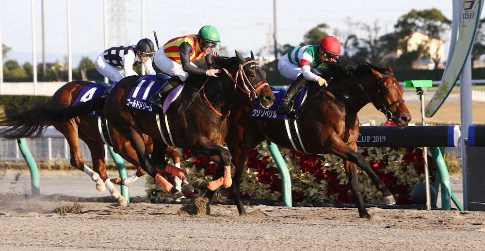 【画像・写真】【チャンピオンズC】クリソベリル6戦無敗Ｖ　川田「まだ負けてないし、もっと強くなる馬」