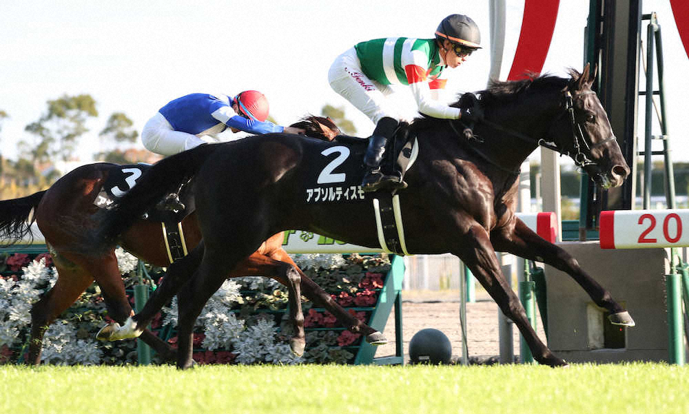 【画像・写真】【こうやまき賞】アブソル、直線はじけて快勝！