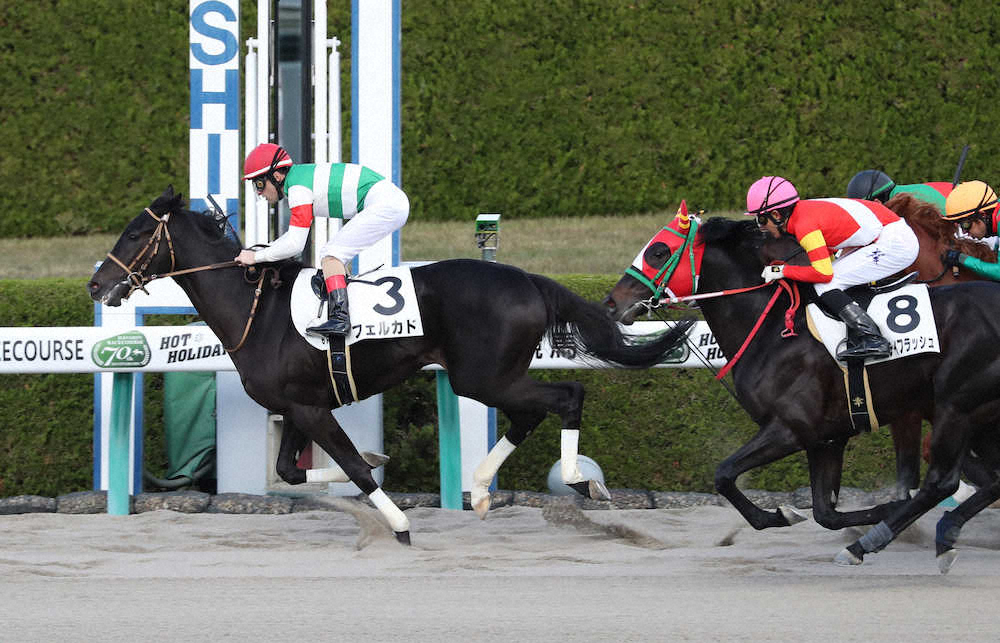 【画像・写真】【阪神新馬戦】フェルカド、後続振り切りV　ルメール「最後まで止まらなかった」