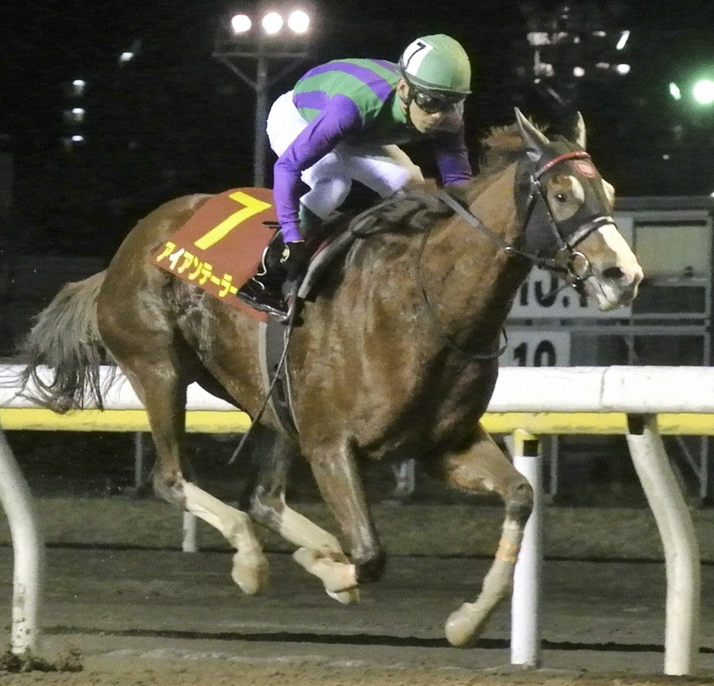 【画像・写真】＜船橋・クイーン賞＞昨年の優勝馬はJRA所属のアイアンテーラー