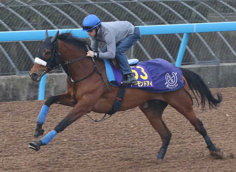 【画像・写真】【有馬記念】アーモンド、唯一10万票超え　ファン投票1位は00年以降6勝