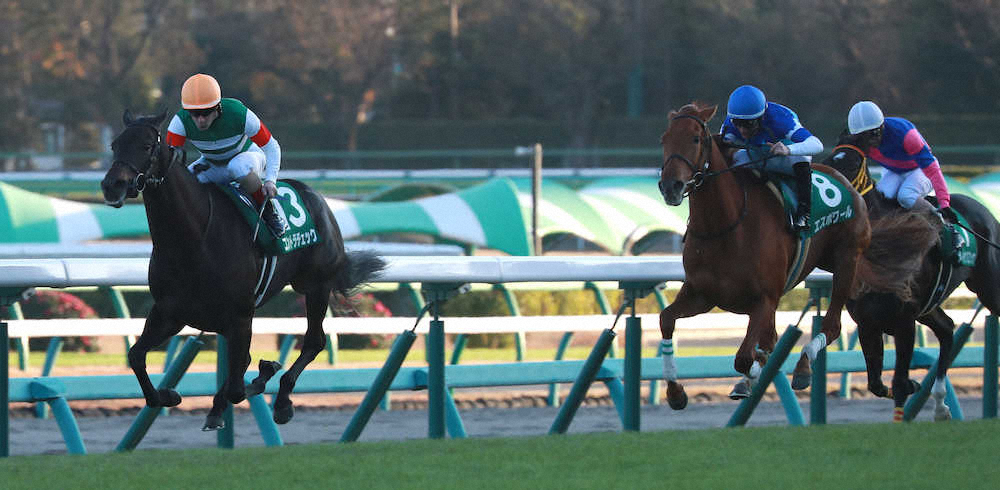 【画像・写真】【ターコイズS】コントラ“圧逃”重賞2勝目!ルメールが重賞年間15勝目