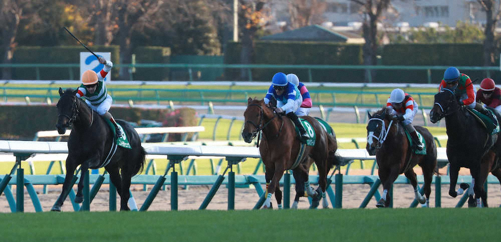 【画像・写真】【ターコイズS】エスポワール2着　猛追も及ばず「勝った馬が強かった」