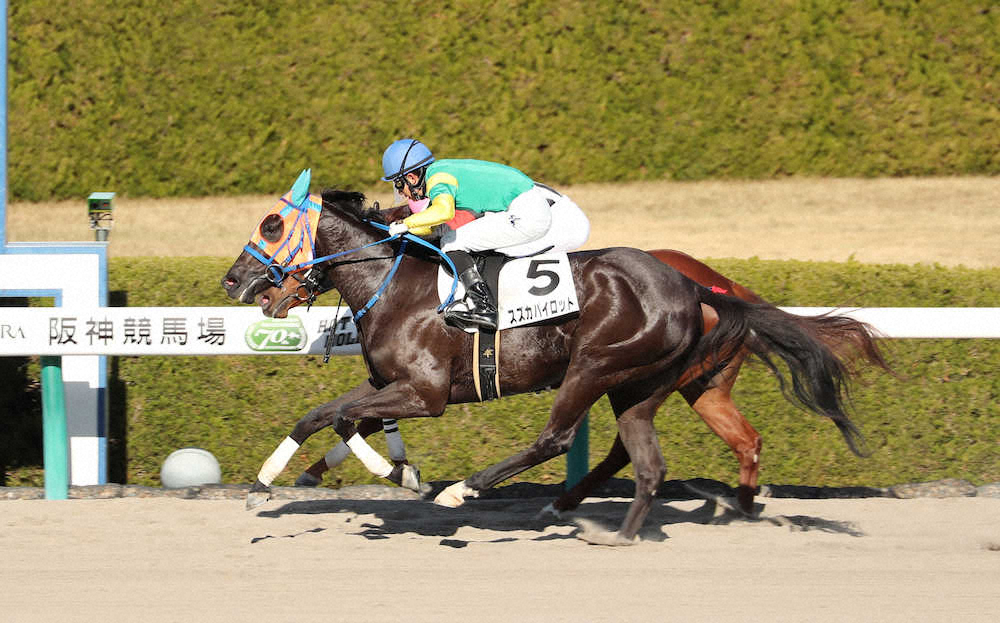 【画像・写真】【阪神新馬戦】スズカパイロット　差し切りV!幸「4角でも手応えあった」