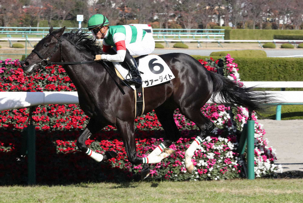【画像・写真】【阪神新馬戦】ヴァーダイト　4馬身差の圧勝!音無師「信じていた」