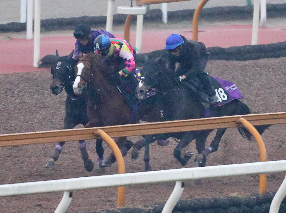 【画像・写真】【有馬記念】エタリオウ　意欲的に先行!横典も“初めて納得”